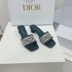 Christian Dior Slippers